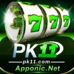 PK11 Game
