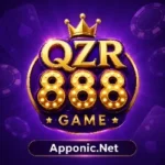 QZR888 Game